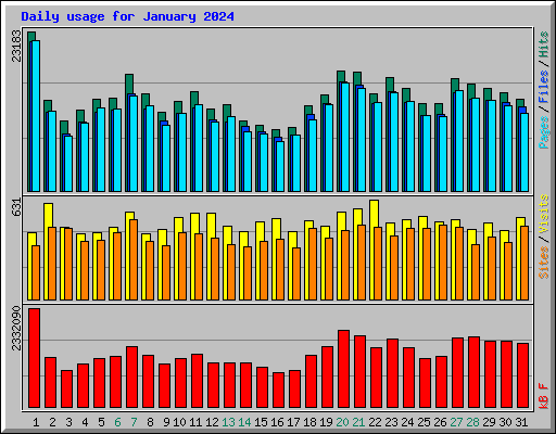 Daily usage for January 2024