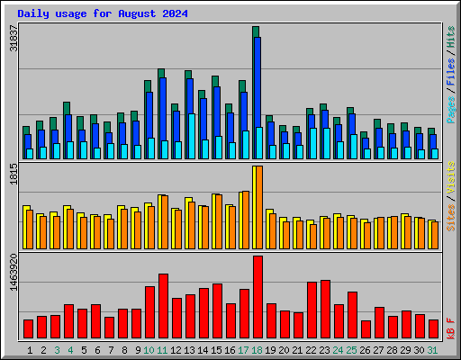 Daily usage for August 2024