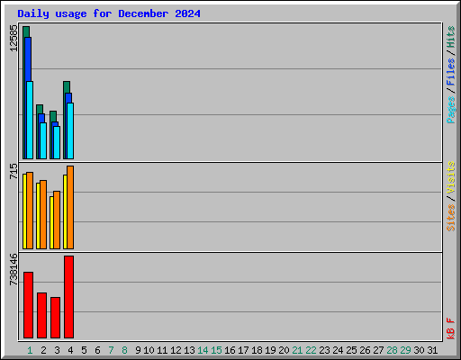 Daily usage for December 2024