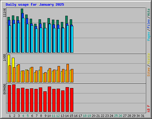 Daily usage for January 2025