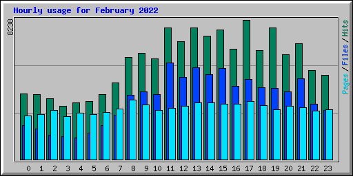 Hourly usage for February 2022