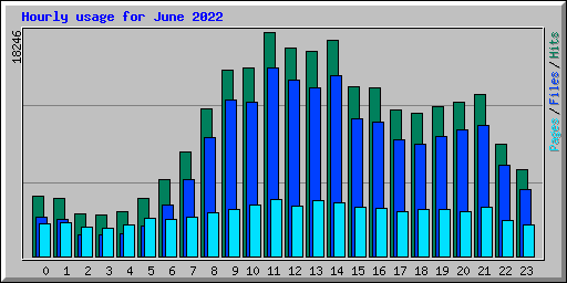 Hourly usage for June 2022