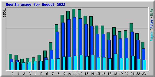 Hourly usage for August 2022