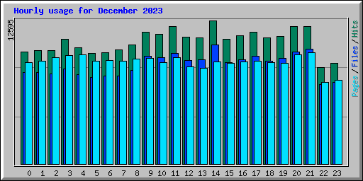 Hourly usage for December 2023