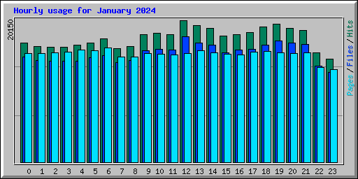 Hourly usage for January 2024