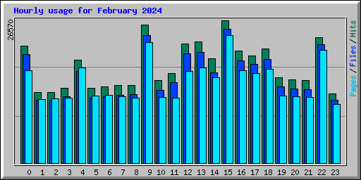 Hourly usage for February 2024