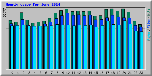 Hourly usage for June 2024