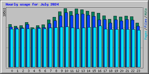 Hourly usage for July 2024