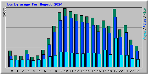 Hourly usage for August 2024