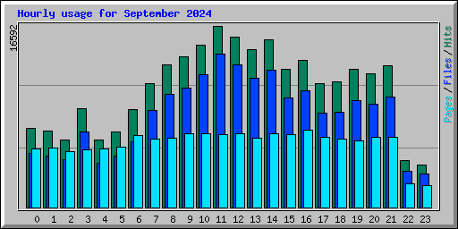 Hourly usage for September 2024