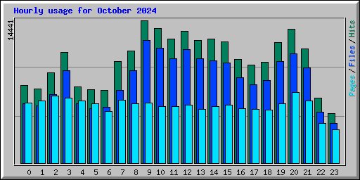 Hourly usage for October 2024