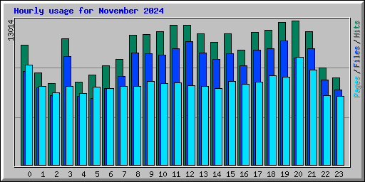 Hourly usage for November 2024