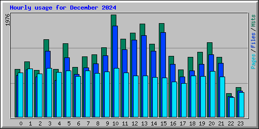 Hourly usage for December 2024