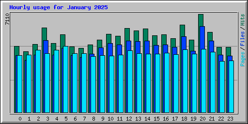 Hourly usage for January 2025