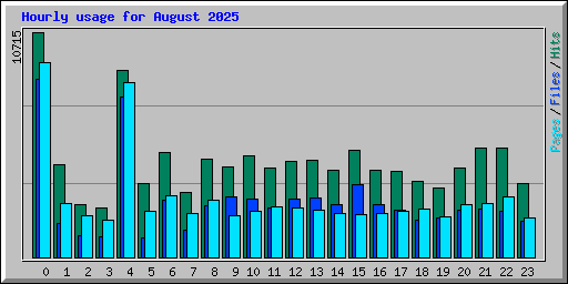 Hourly usage for August 2025