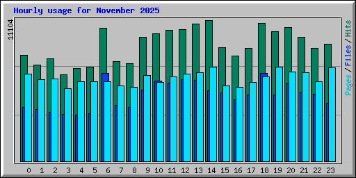 Hourly usage for November 2025