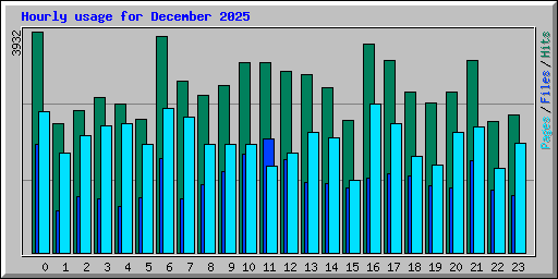 Hourly usage for December 2025