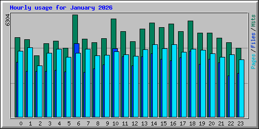Hourly usage for January 2026