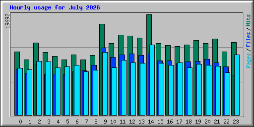 Hourly usage for July 2026